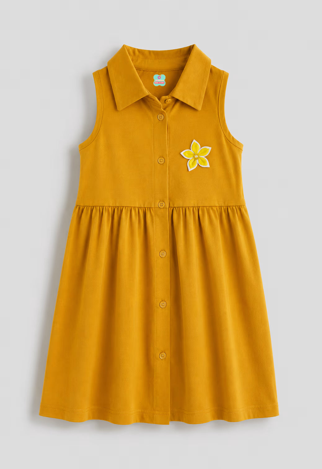 Coral Blossom Collared Dress